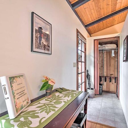 Cozy Volcano Studio With Phenomenal Rainforest Views Mountain View Bagian luar foto
