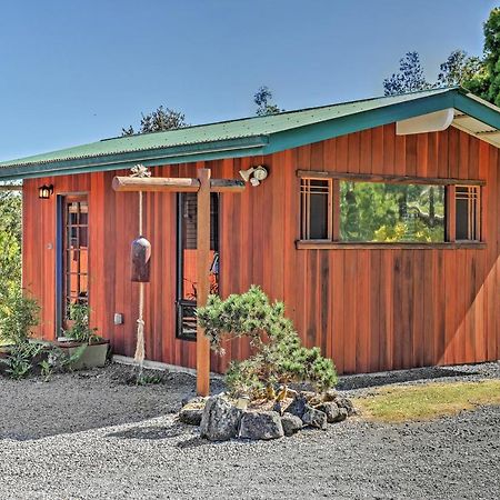 Cozy Volcano Studio With Phenomenal Rainforest Views Mountain View Bagian luar foto