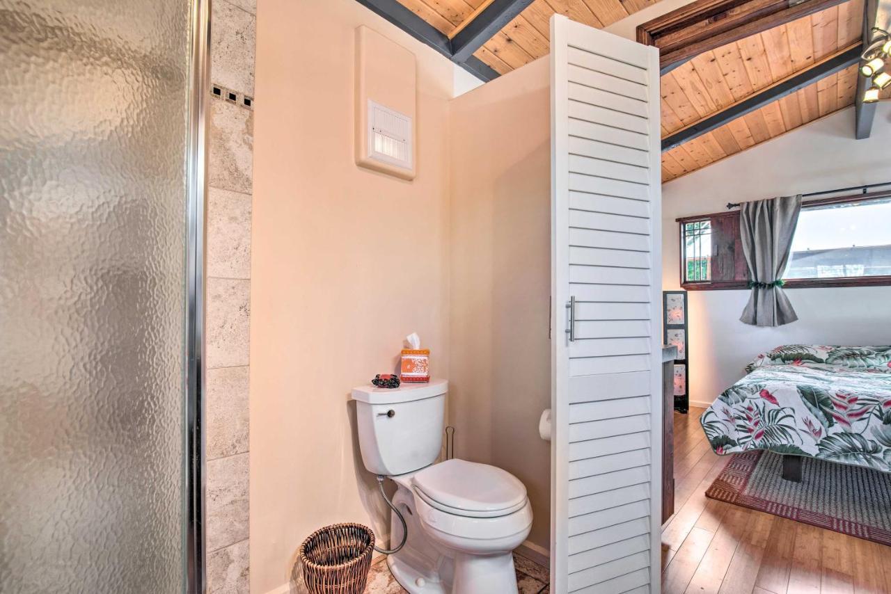 Cozy Volcano Studio With Phenomenal Rainforest Views Mountain View Bagian luar foto