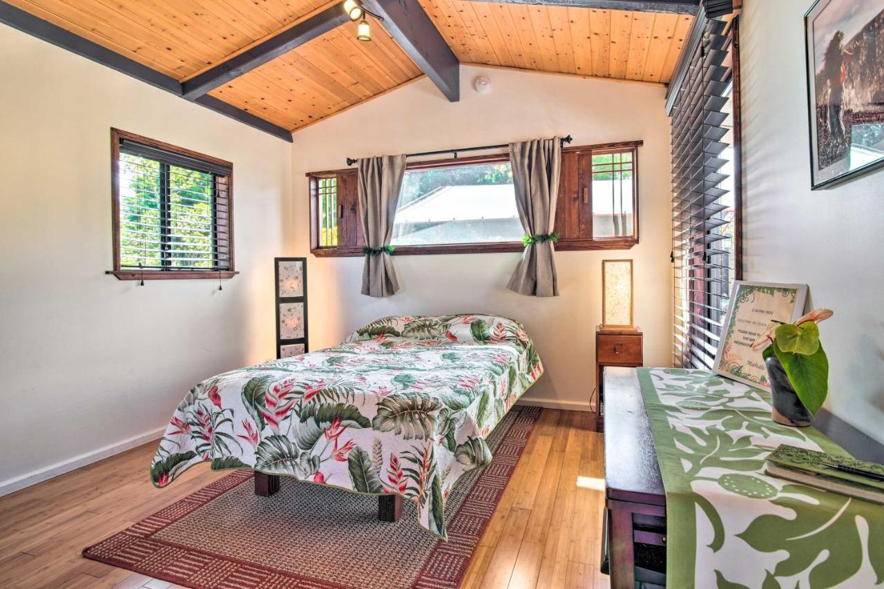 Cozy Volcano Studio With Phenomenal Rainforest Views Mountain View Bagian luar foto