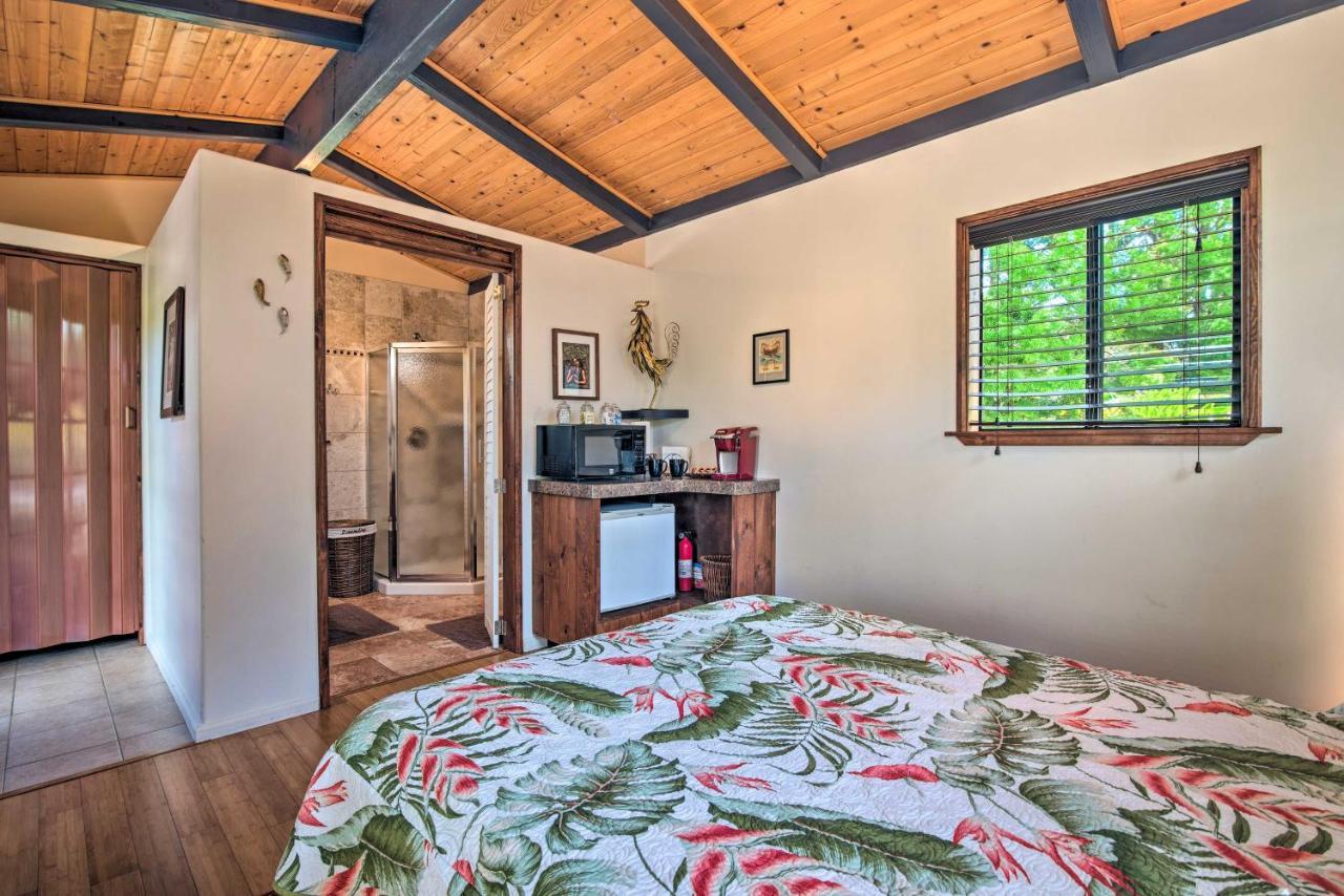 Cozy Volcano Studio With Phenomenal Rainforest Views Mountain View Bagian luar foto