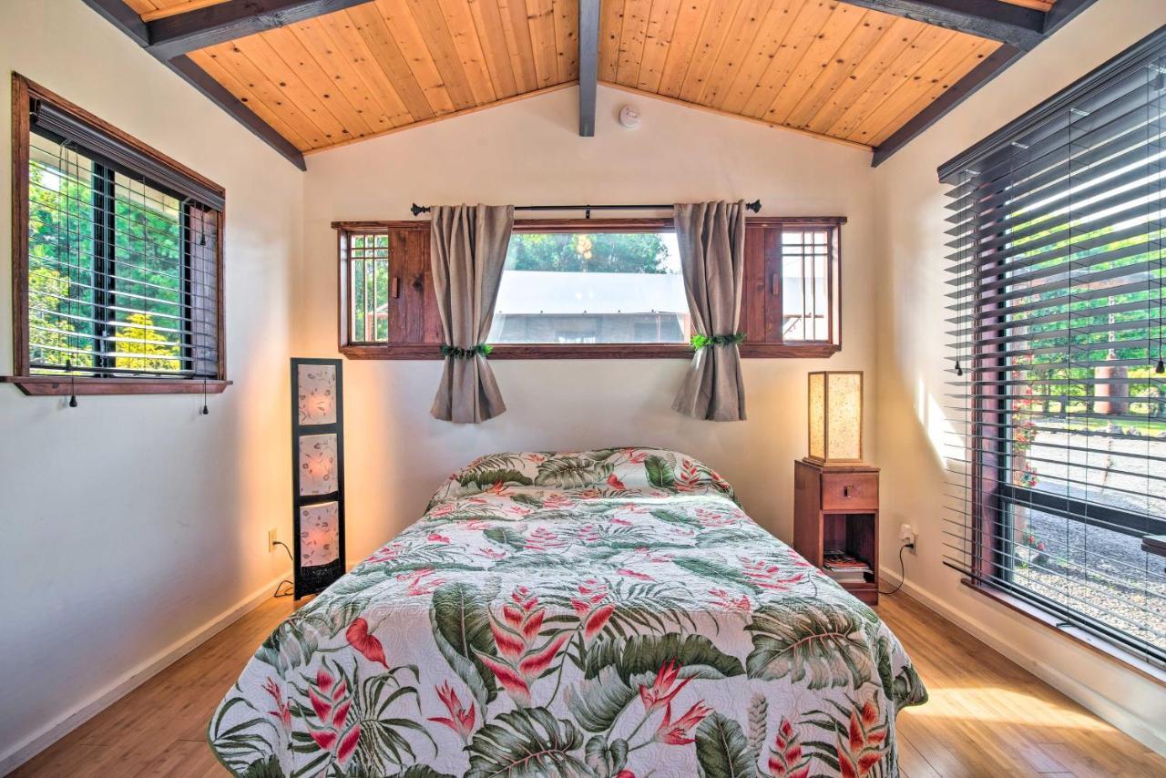 Cozy Volcano Studio With Phenomenal Rainforest Views Mountain View Bagian luar foto